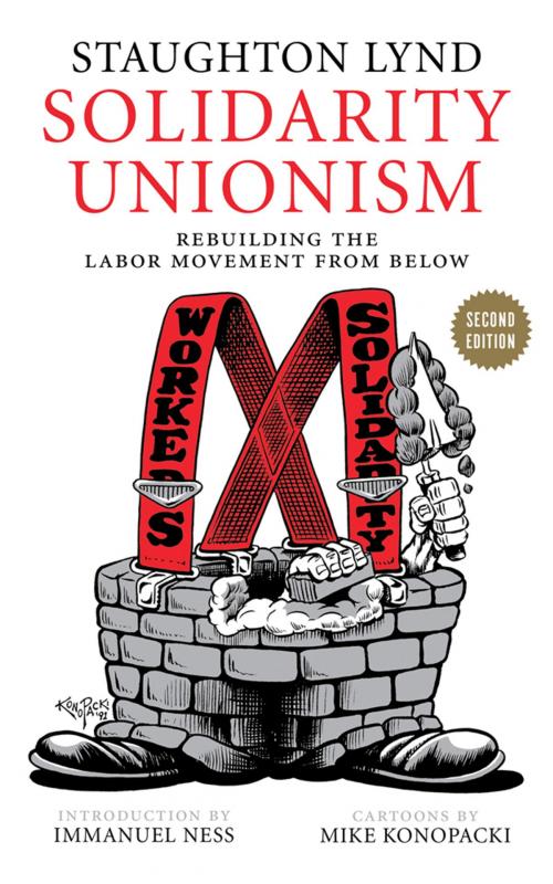 Cover of the book Solidarity Unionism by Staughton Lynd, PM Press
