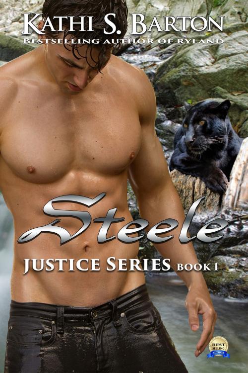 Cover of the book Steele by Kathi S Barton, World Castle Publishing, LLC