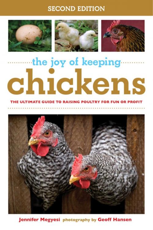 Cover of the book The Joy of Keeping Chickens by Jennifer Megyesi, Geoff Hansen, Skyhorse