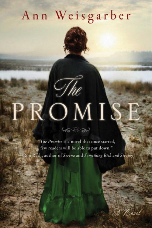 Cover of the book The Promise by Ann Weisgarber, Skyhorse