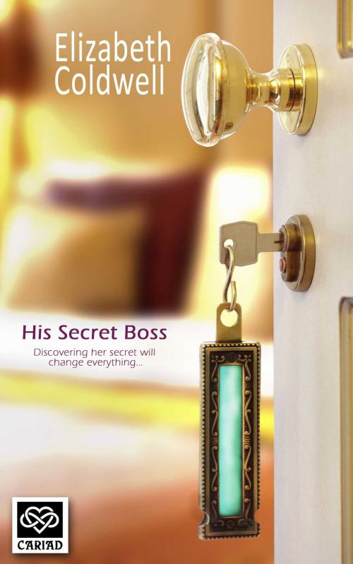 Cover of the book His Secret Boss by Elizabeth Coldwell, Accent Press