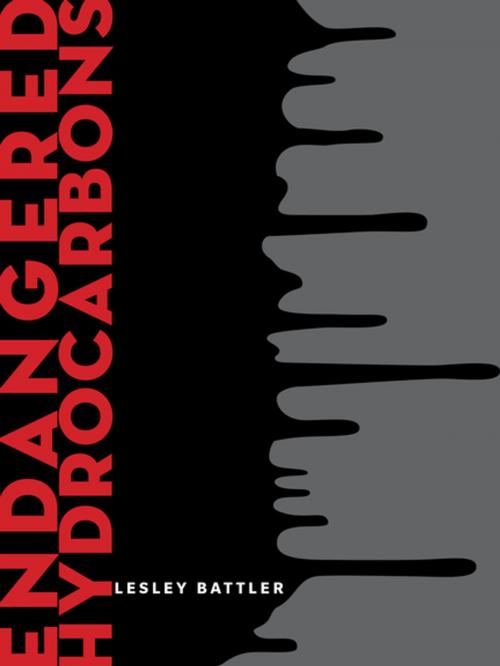 Cover of the book Endangered Hydrocarbons by Lesley Battler, BookThug