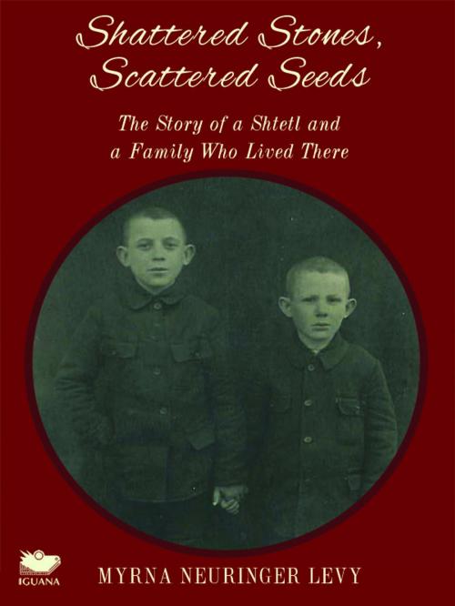Cover of the book Scattered Stones, Shattered Seeds by Myrna Neuringer Levy, Iguana Books