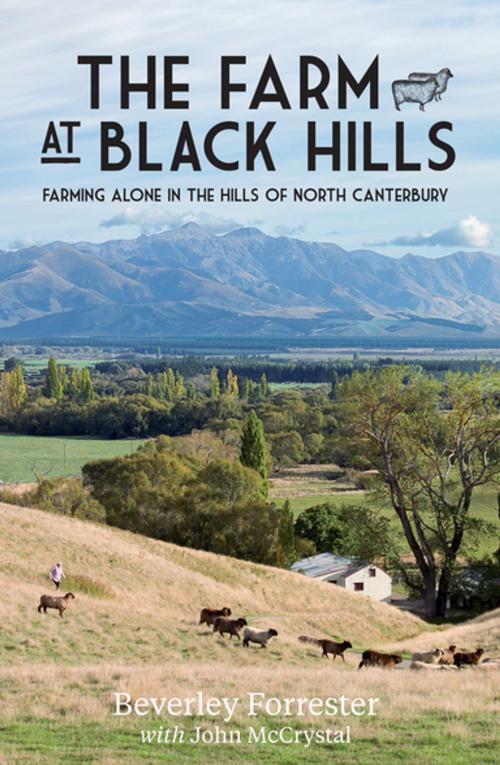 Cover of the book The Farm At Black Hills by Beverley Forrester, Penguin Random House New Zealand