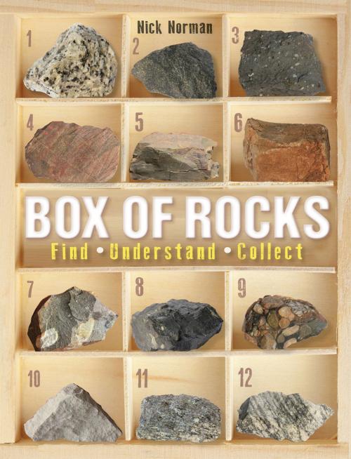 Cover of the book Box of Rocks by Nick Norman, Penguin Random House South Africa