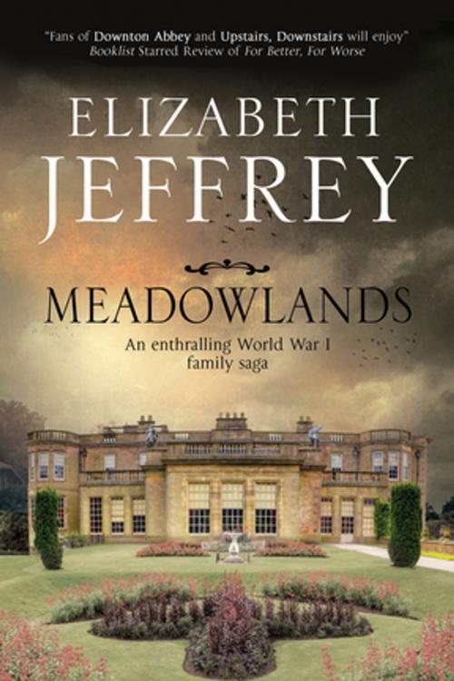 Cover of the book Meadowlands by Elizabeth Jeffrey, Severn House Publishers