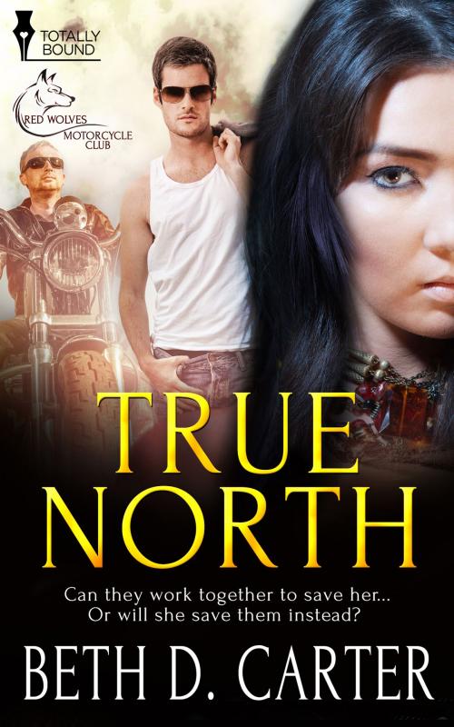 Cover of the book True North by Beth D. Carter, Totally Entwined Group Ltd