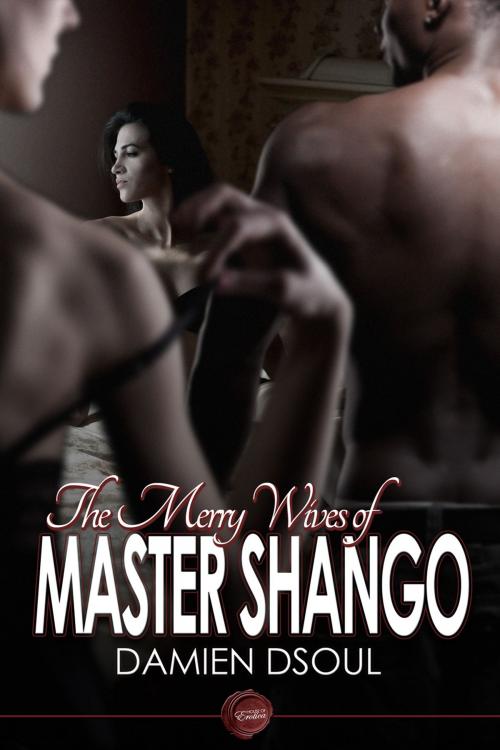 Cover of the book The Merry Wives of Master Shango by Damien Dsoul, Andrews UK