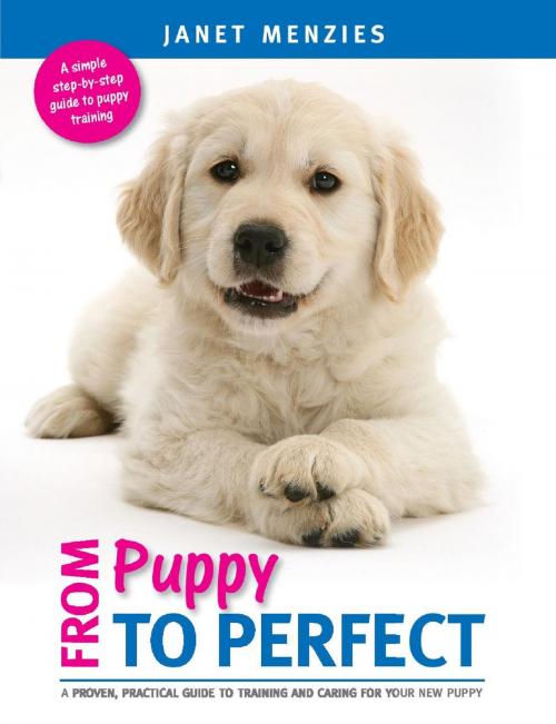 Cover of the book FROM PUPPY TO PERFECT by Janet Menzies, Quiller