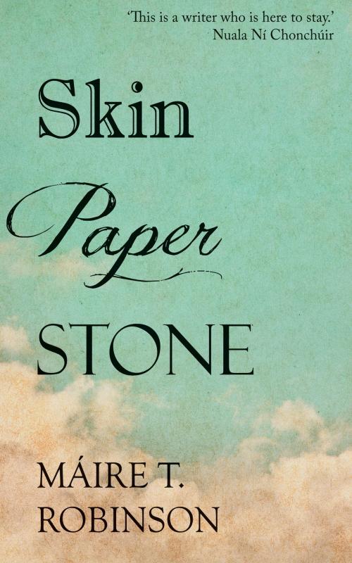 Cover of the book Skin Paper Stone by Máire T. Robinson, New Island Books