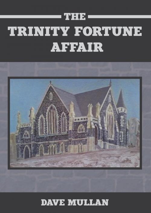 Cover of the book The Trinity Fortune Affair by Dave Mullan, Dave Mullan