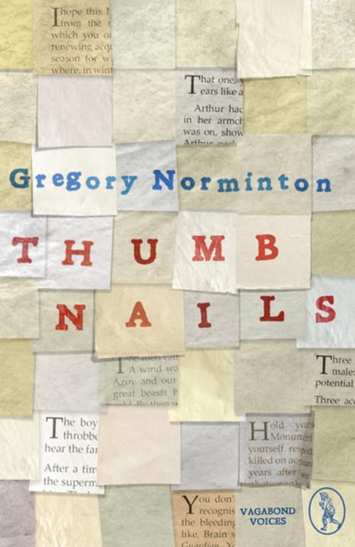 Cover of the book Thumbnails by Gregory Norminton, Vagabond Voices