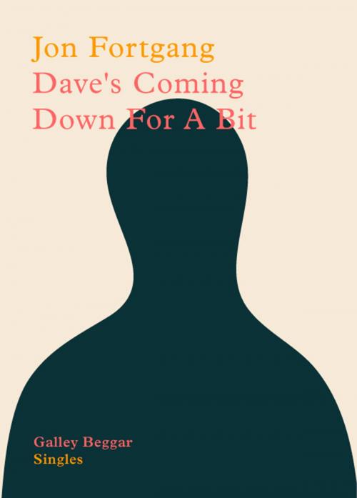 Cover of the book Dave's Coming Down For A Bit by Jon Fortgang, Galley Beggar Press
