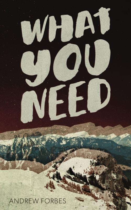 Cover of the book What You Need by Andrew Forbes, Invisible Publishing