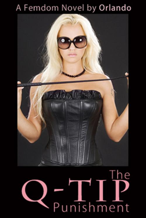 Cover of the book The QTip Punishment by Orlando, Pink Flamingo Media
