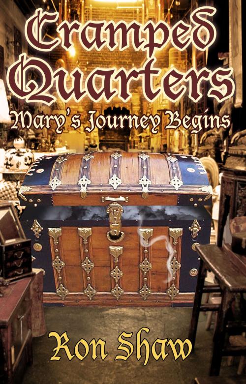 Cover of the book Mary's Journey Begins by Ron Shaw, Annie Acorn Publishing LLC
