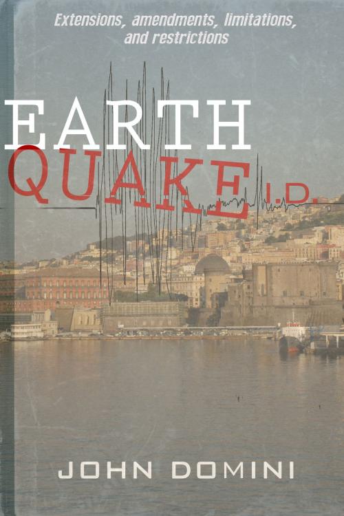 Cover of the book Earthquake I.D. by John Domini, Dzanc Books