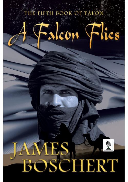 Cover of the book A Falcon Flies by James Boschert, Penmore Press LLC