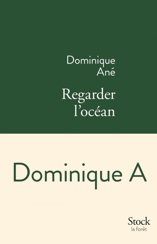 Cover of the book Regarder l'océan by Dominique Ané, Stock