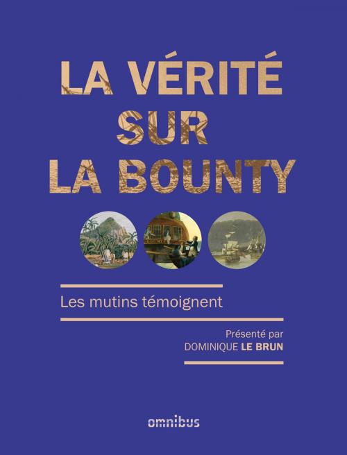 Cover of the book La vérité sur la Bounty by Dominique LE BRUN, Place des éditeurs