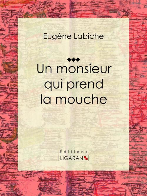 Cover of the book Un monsieur qui prend la mouche by Eugène Labiche, Ligaran, Ligaran