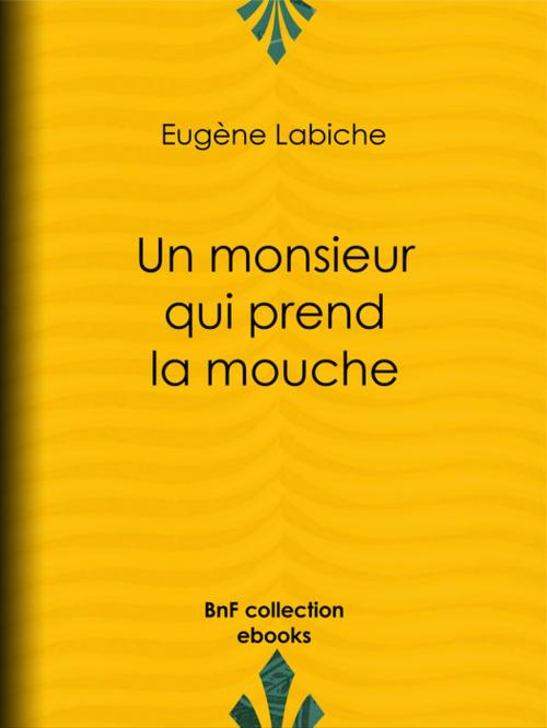 Cover of the book Un monsieur qui prend la mouche by Eugène Labiche, BnF collection ebooks