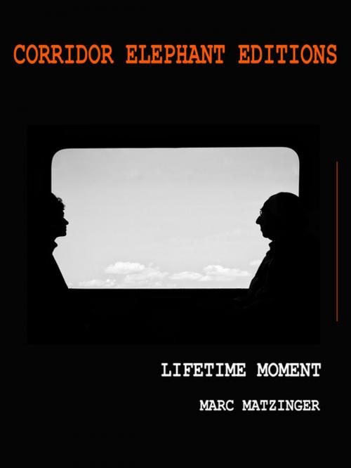 Cover of the book Lifetime moment by Marc Matzinger, Corridor Elephant