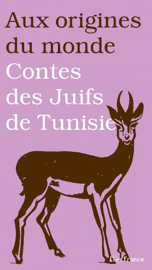 Cover of the book Contes des Juifs de Tunisie by Sonia Koskas, Aux origines du monde, Flies France Éditions