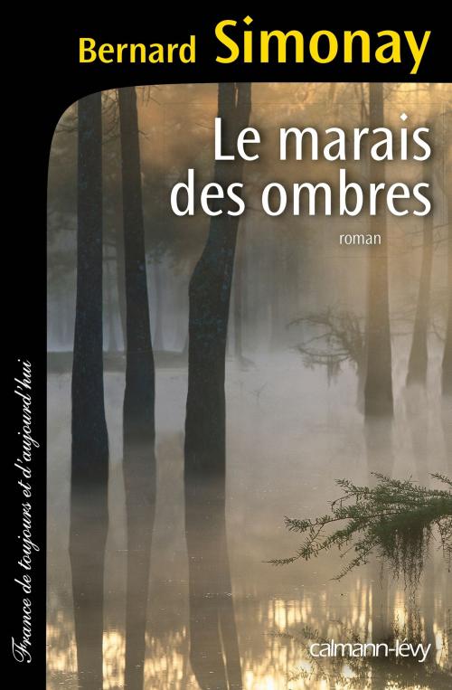 Cover of the book Le Marais des ombres by Bernard Simonay, Calmann-Lévy