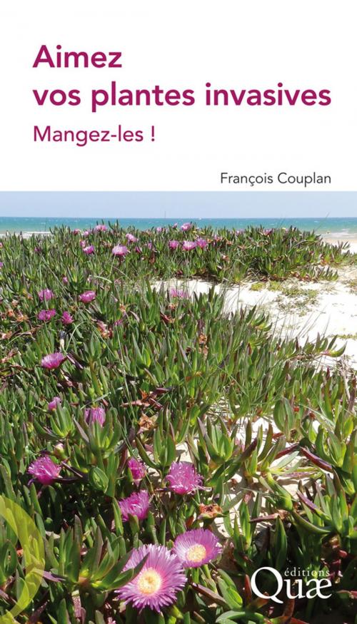 Cover of the book Aimez vos plantes invasives by François Couplan, Quae