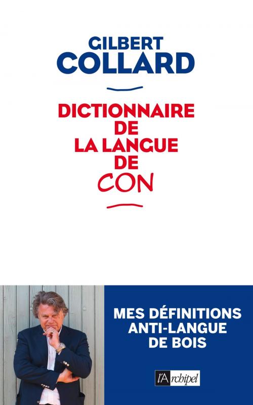 Cover of the book Dictionnaire de la langue de con by Gilbert Collard, Archipel
