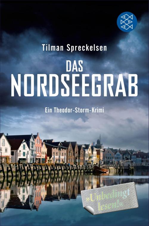 Cover of the book Das Nordseegrab by Tilman Spreckelsen, FISCHER E-Books
