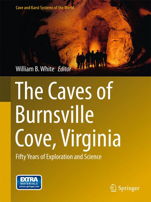 Cover of the book The Caves of Burnsville Cove, Virginia by , Springer International Publishing