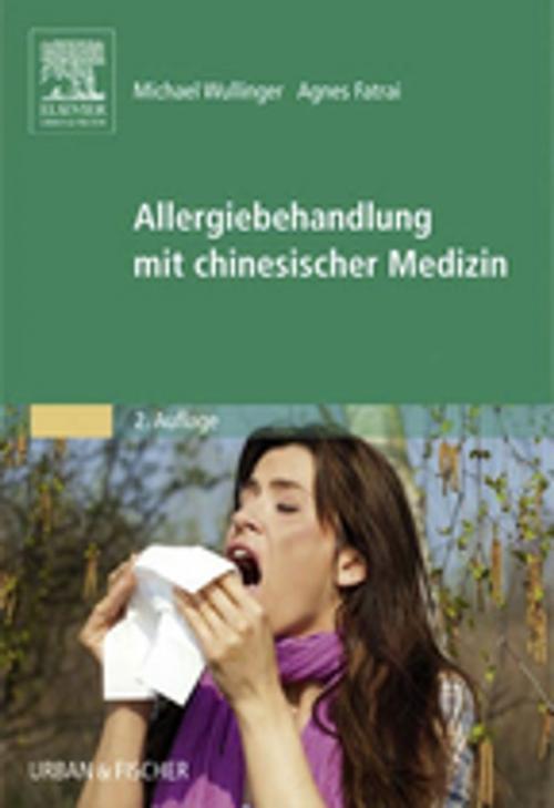 Cover of the book Allergiebehandlung mit chinesischer Medizin by , Elsevier Health Sciences
