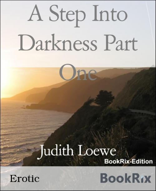 Cover of the book A Step Into Darkness Part One by Judith Loewe, BookRix