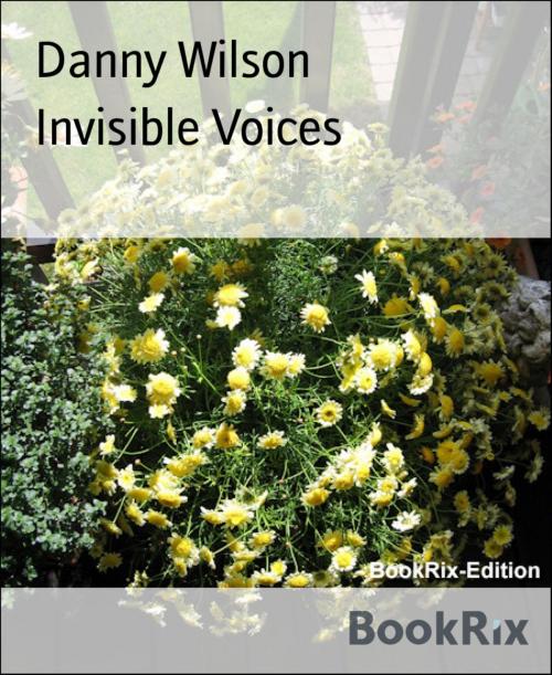 Cover of the book Invisible Voices by Danny Wilson, BookRix