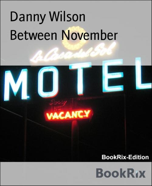 Cover of the book Between November by Danny Wilson, BookRix