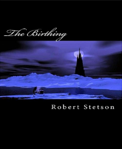 Cover of the book The Birthing by Robert Stetson, BookRix