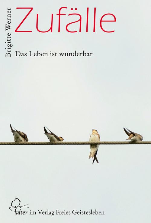 Cover of the book Zufälle by Brigitte Werner, Verlag Freies Geistesleben