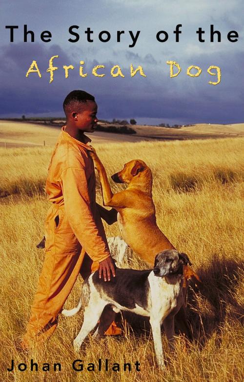 Cover of the book The Story of the African Dog by , Kynos Verlag
