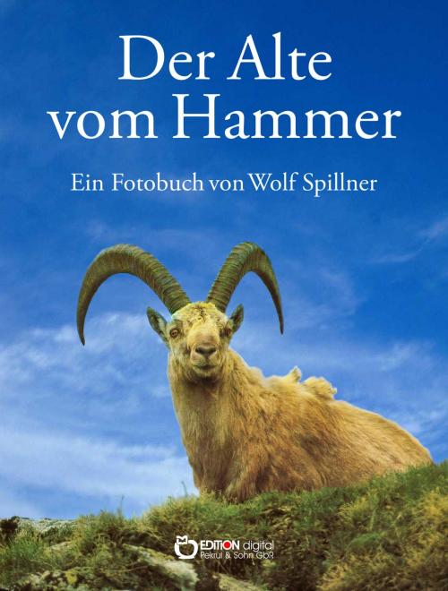 Cover of the book Der Alte vom Hammer by Wolf Spillner, EDITION digital