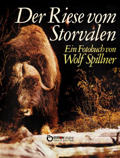 Cover of the book Der Riese vom Storvalen by Wolf Spillner, EDITION digital