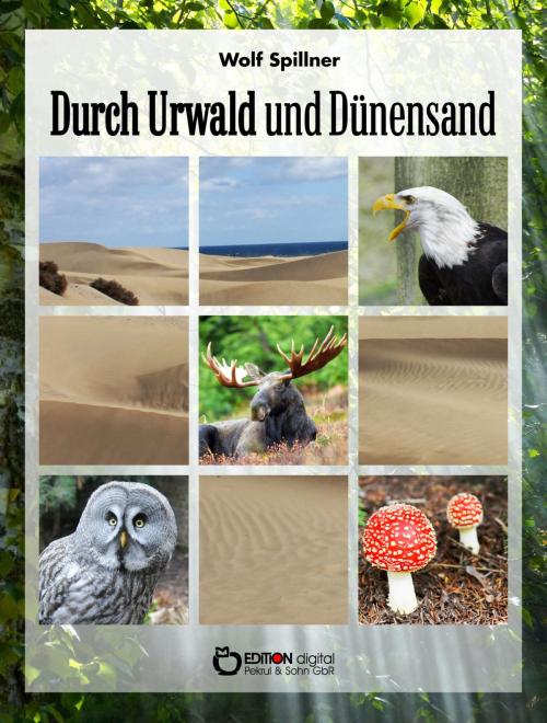 Cover of the book Durch Urwald und Dünensand by Wolf Spillner, EDITION digital