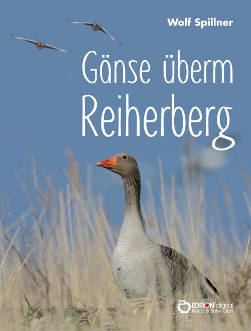 Cover of the book Gänse überm Reiherberg by Wolf Spillner, EDITION digital