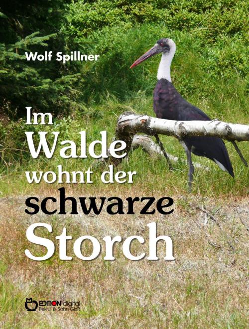 Cover of the book Im Walde wohnt der schwarze Storch by Wolf Spillner, EDITION digital