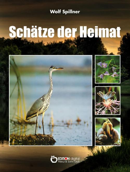 Cover of the book Schätze der Heimat by Wolf Spillner, EDITION digital