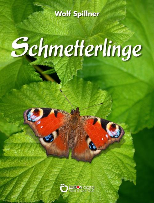 Cover of the book Schmetterlinge by Wolf Spillner, EDITION digital