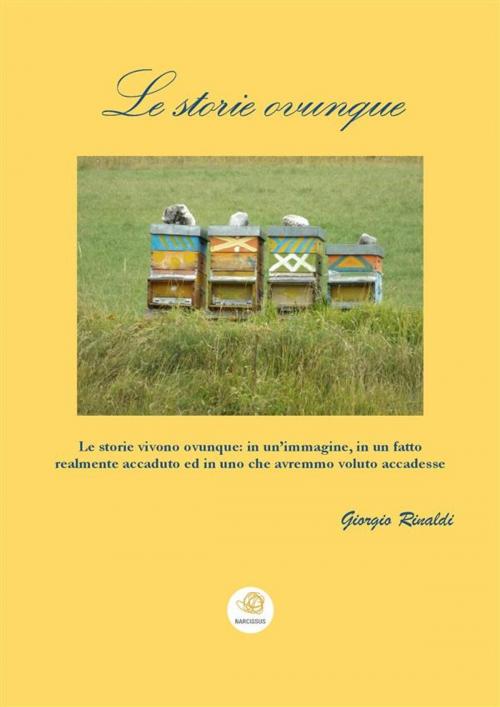 Cover of the book Le storie ovunque by Giorgio Rinaldi, Giorgio Rinaldi