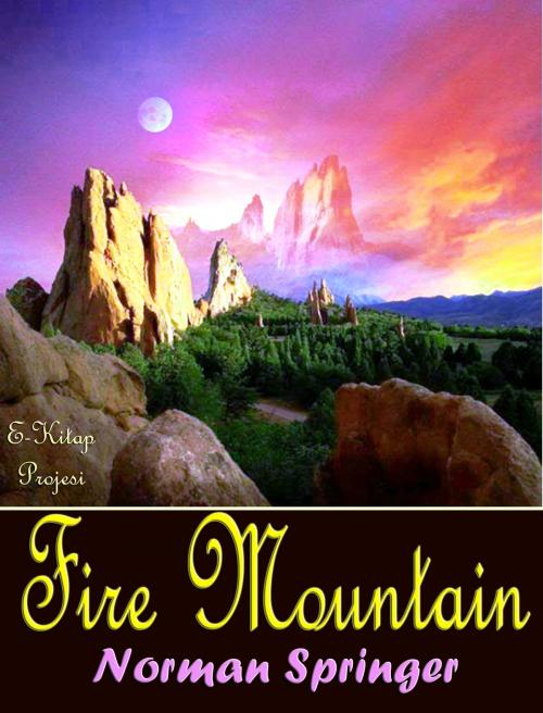 Cover of the book Fire Mountain by Norman Springer, eKitap Projesi