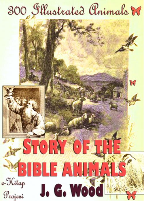 Cover of the book Story of the Bible Animals by J. G. Wood, eKitap Projesi